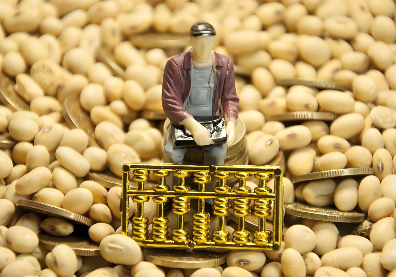 成本支撑叠加需求改善，豆粕期货企稳反弹！行情能走多远？