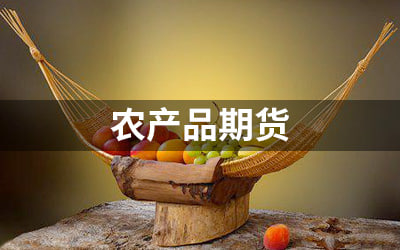 玉米市场迎来“及时雨”！中储粮出手托市，期货行情触底反弹，农民的春天要来了？